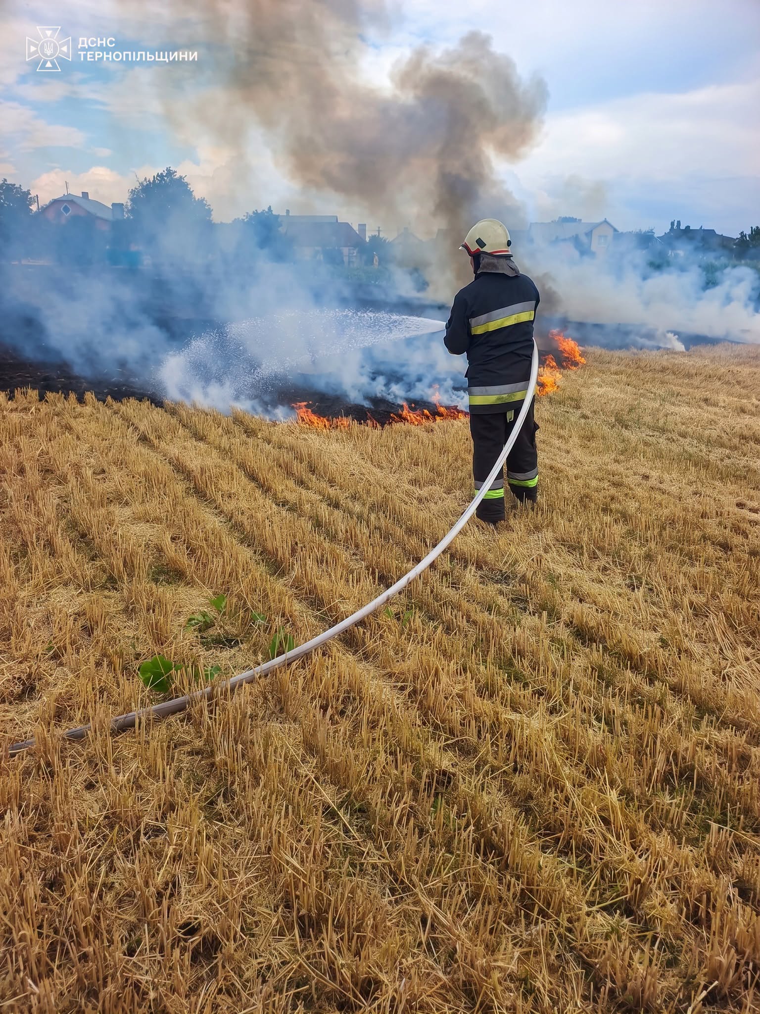 758180598_964078546646174_9035269322560657551_n.jpg