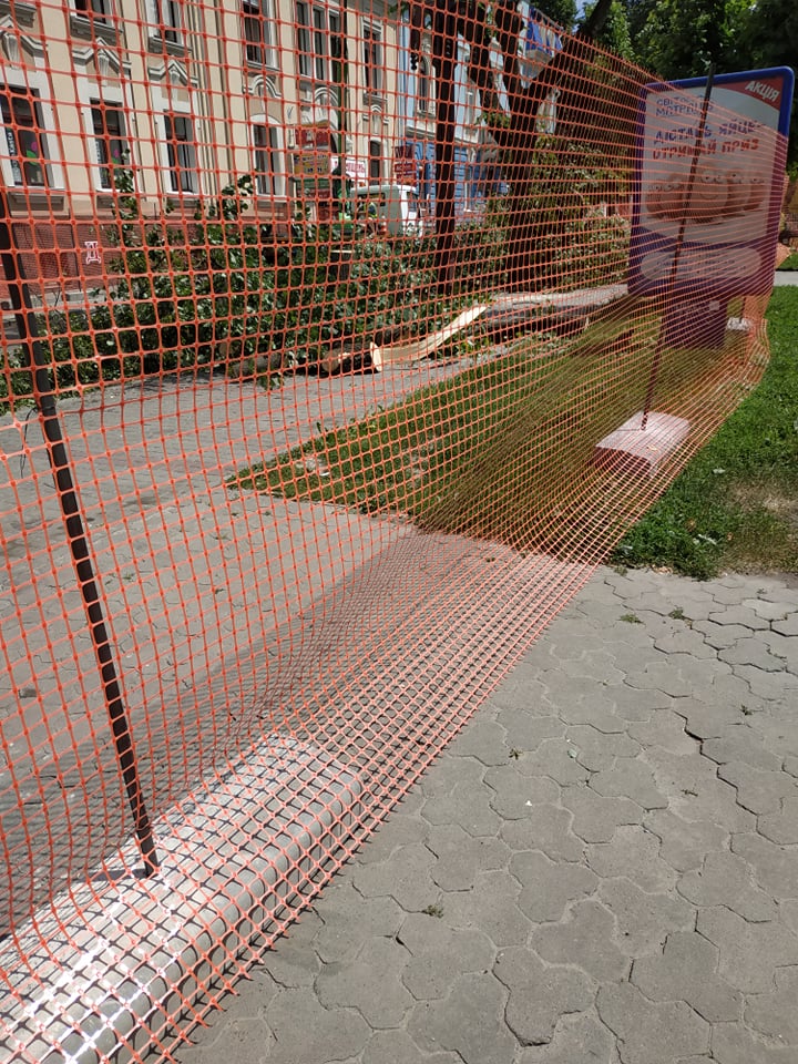65267205_1196645680522026_811834602325803008_n.jpg