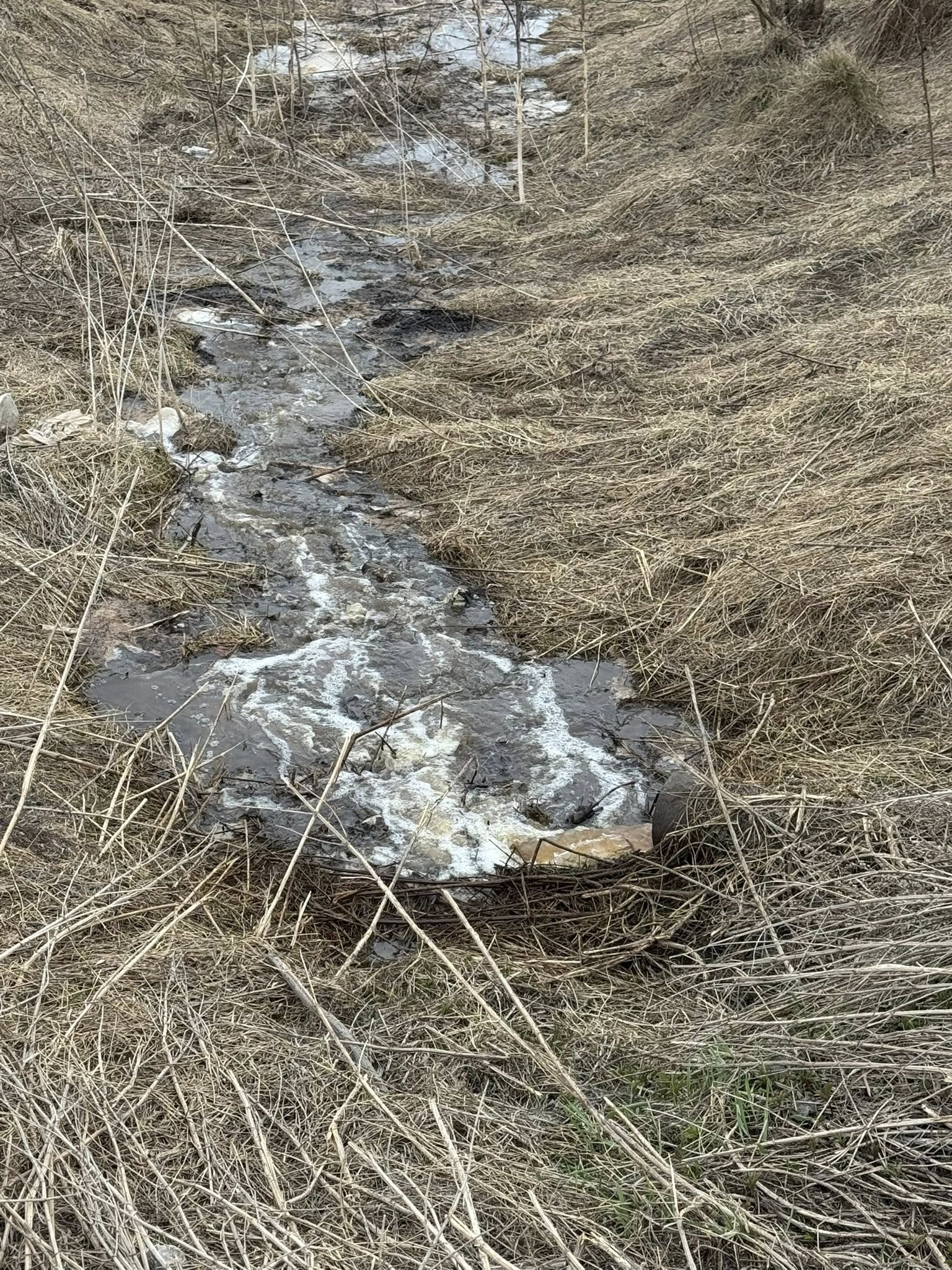 653701939_122096248052951341_1334438453427378303_n.jpg