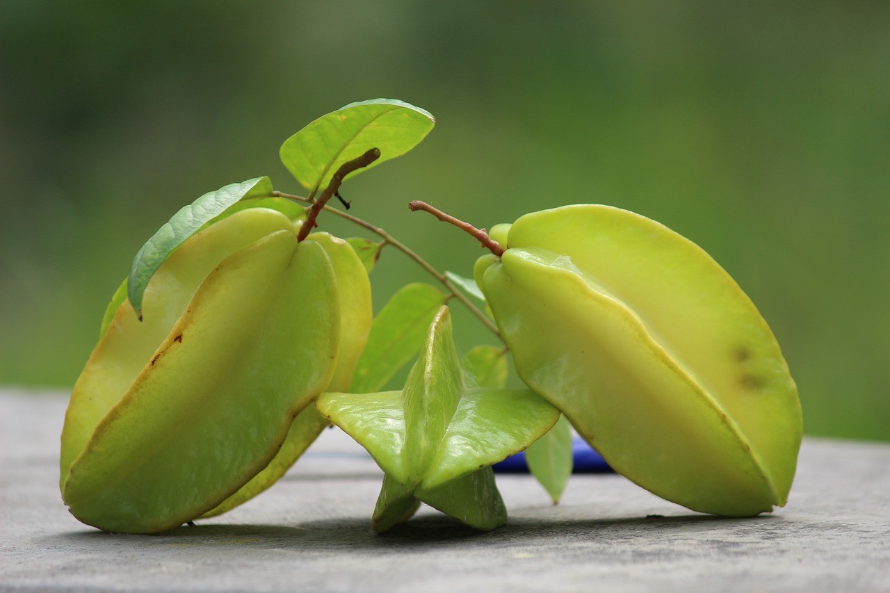 Pn_carambola.jpg
