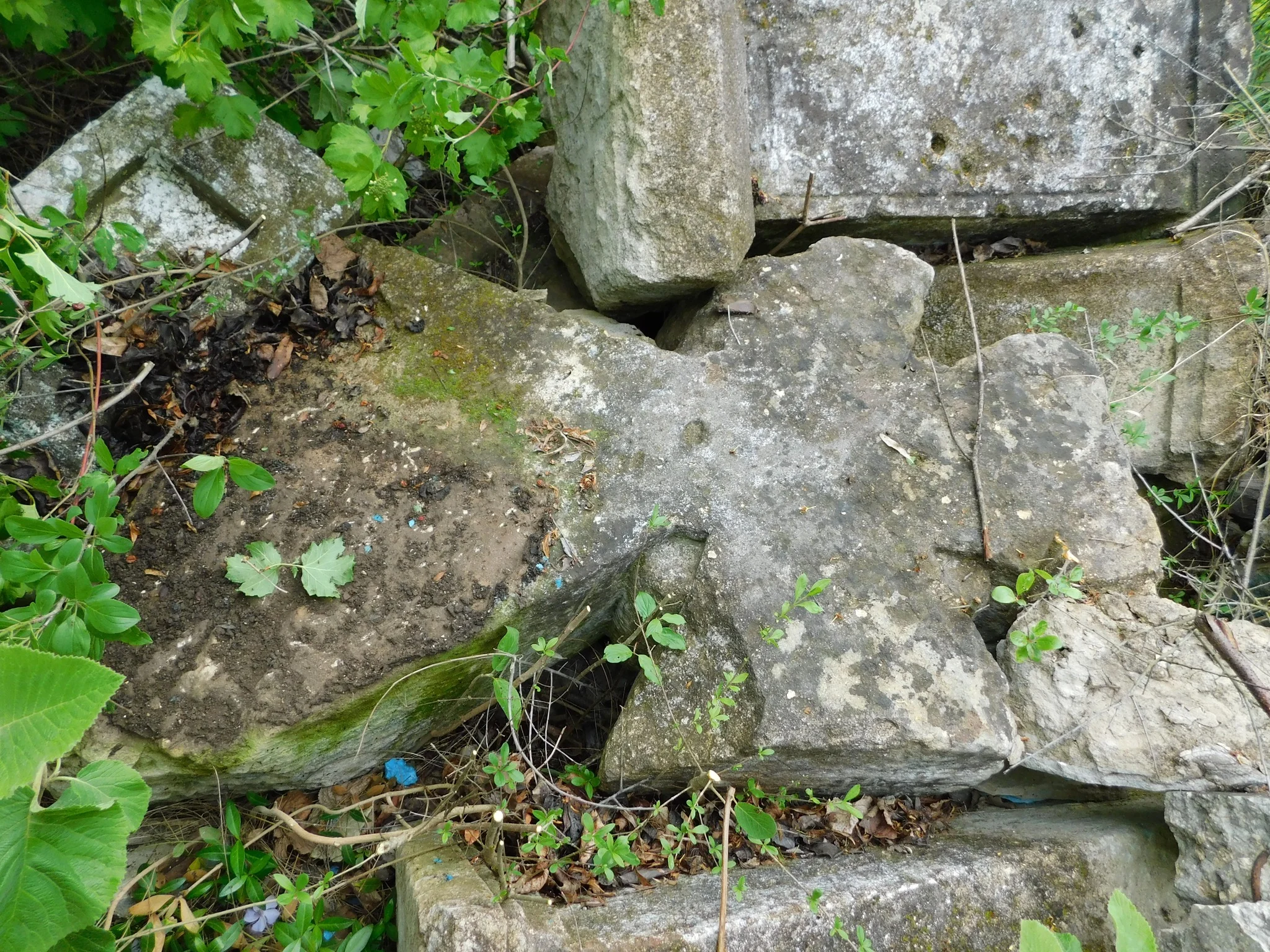 image_1.jpg