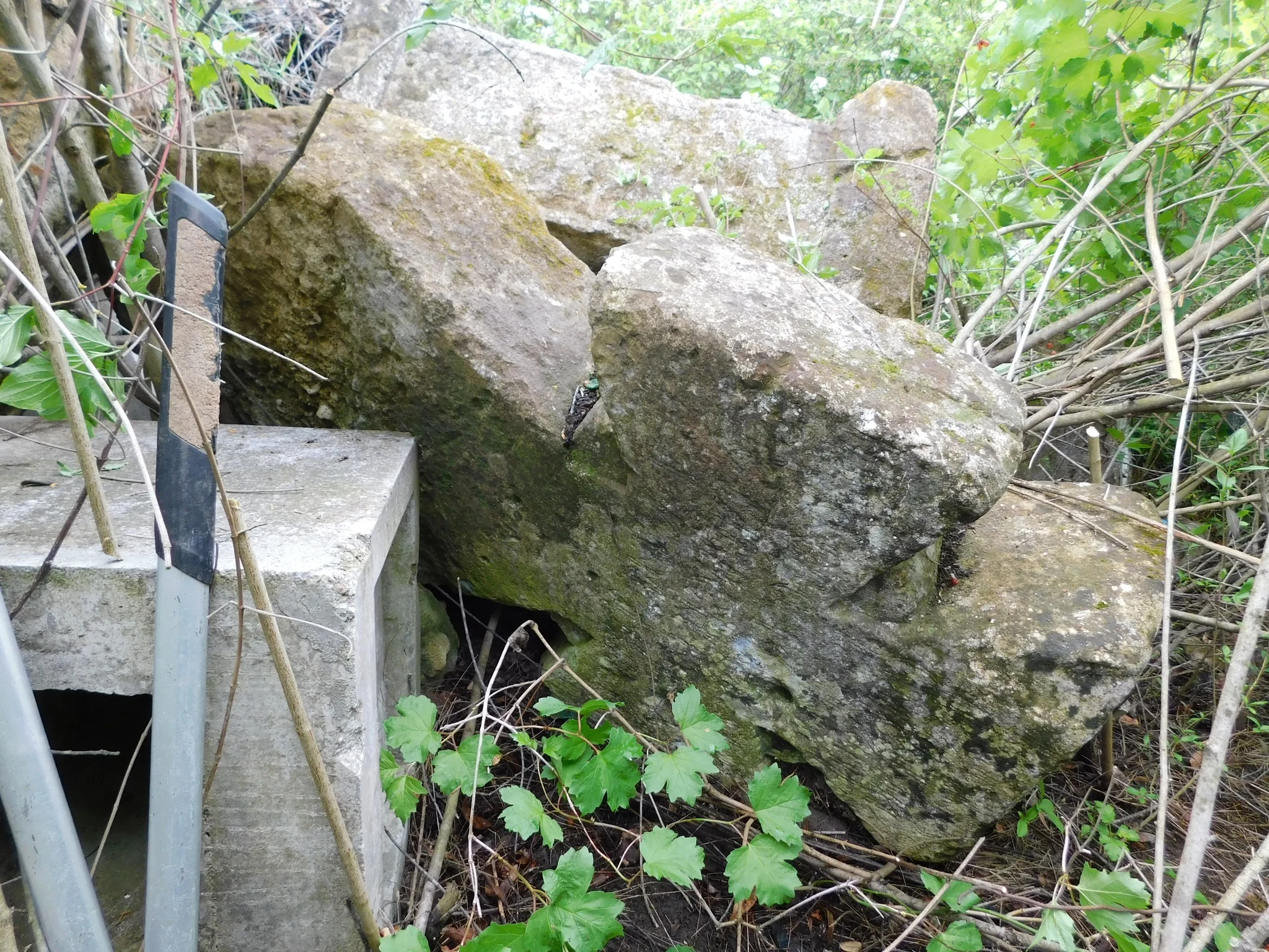 image_2.jpg